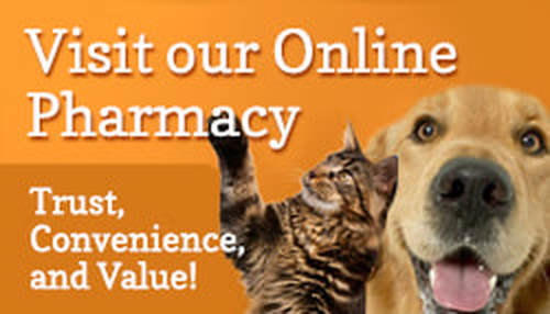 online dog pharmacy